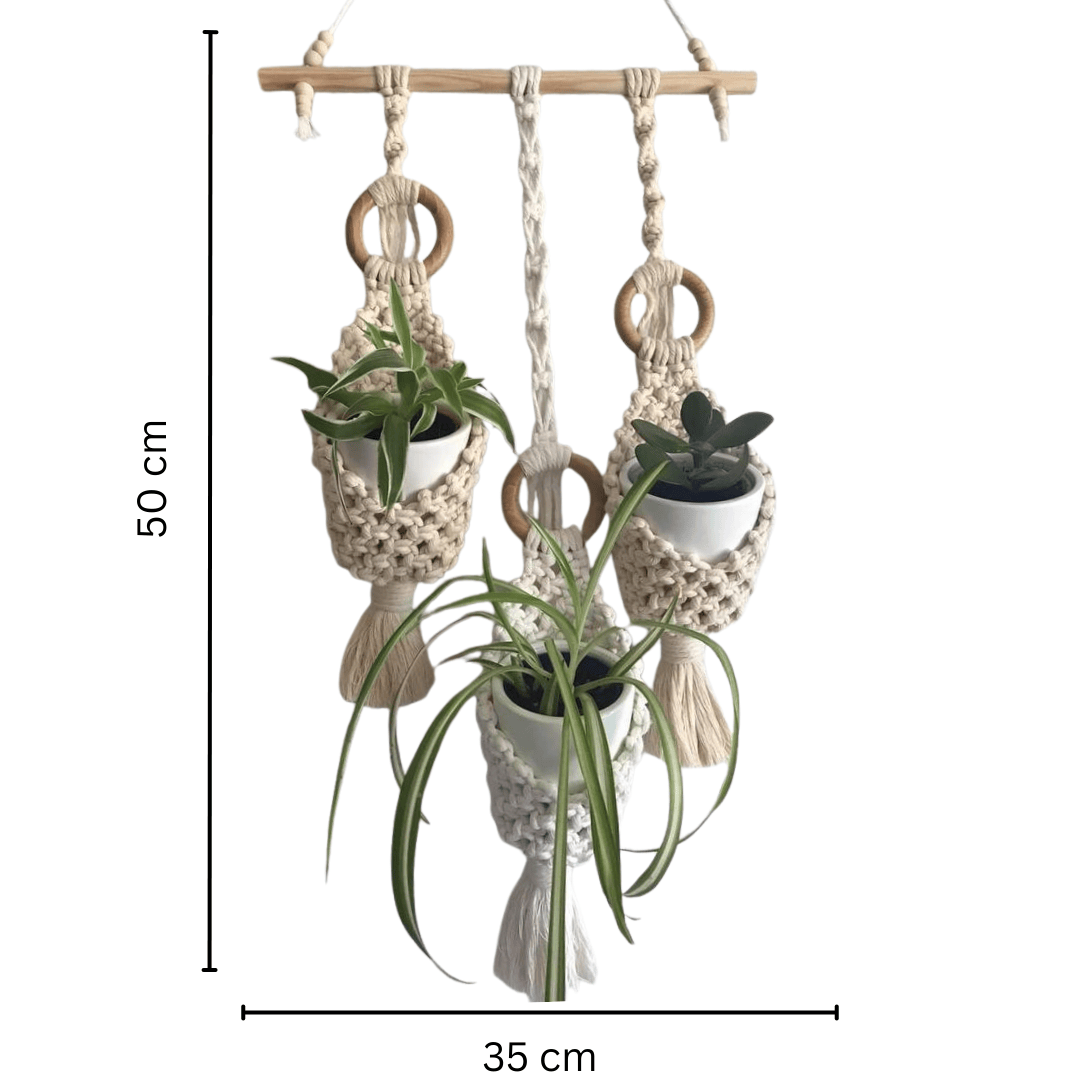Set of 3 Macrame Plant Hanger | Macrame Hangers for Plants