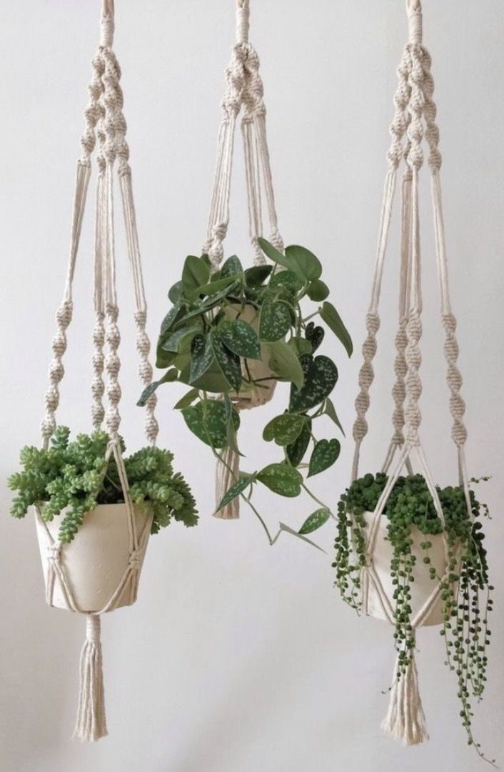 Macrame Hanger for Plants | 3 Plant Hanger Set | Hanging Planters